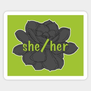 She/Her Pronoun (Succulent - Grey) Magnet